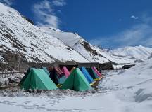 Search for Snow Leopards with Valerie Parkinson