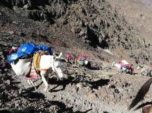 Mt Toubkal Climb