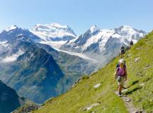 Mont Blanc to the Matterhorn