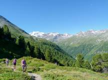 Mont Blanc to the Matterhorn