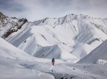 Search for Snow Leopards with Valerie Parkinson
