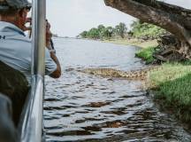 Botswana & Zimbabwe Lodge Safari