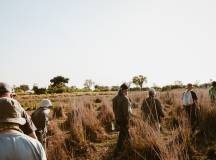 Botswana & Zimbabwe Lodge Safari