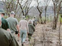 Botswana & Zimbabwe Lodge Safari