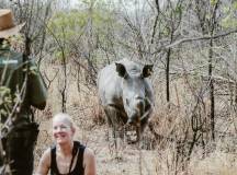 Botswana & Zimbabwe Lodge Safari