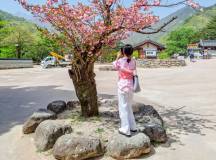Discover South Korea