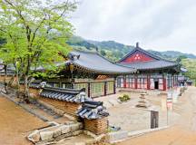Discover South Korea