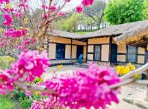 Discover South Korea