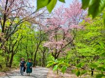 Discover South Korea