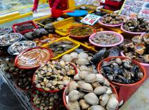 Discover South Korea