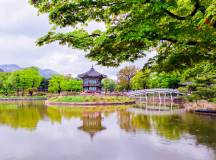 Discover South Korea