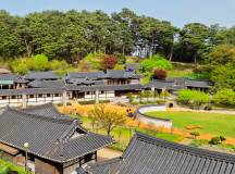 Discover South Korea