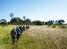 Wildlife & Wilderness of Botswana