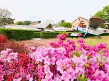 Discover South Korea