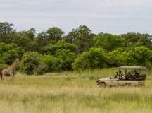 Wildlife & Wilderness of Botswana