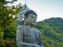 Discover South Korea