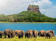 Discover Sri Lanka