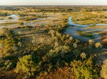 Wildlife & Wilderness of Botswana