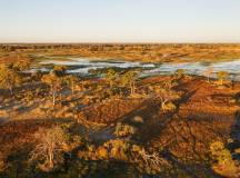 Wildlife & Wilderness of Botswana