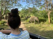 Discover Sri Lanka