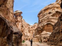 Petra & Wadi Rum Trek