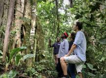 Chimps & Gorillas of Uganda