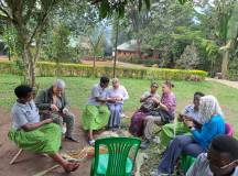 Chimps & Gorillas of Uganda