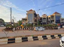 Chimps & Gorillas of Uganda