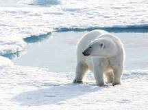 Northwest Passage: The Legendary Arctic Sea Route