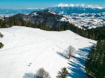Transylvania Winter Walk & Snowshoe
