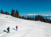 Transylvania Winter Walk & Snowshoe