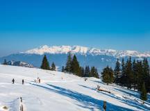Transylvania Winter Walk & Snowshoe
