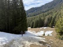 Transylvania Winter Walk & Snowshoe
