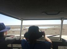 Discover Namibia – Camping