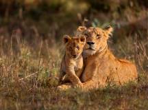 Kenya & Tanzania Adventure