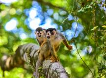 Costa Rica Adventure Family Holiday
