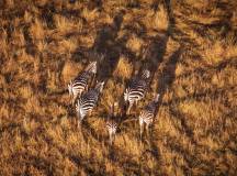 Kenya & Tanzania Adventure