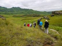 South Africa: Walking & Wildlife