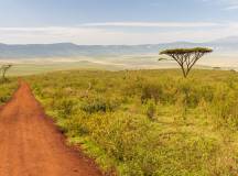 Kenya & Tanzania Adventure