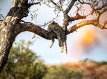 South Africa: Walking & Wildlife