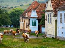 Cycle Romania
