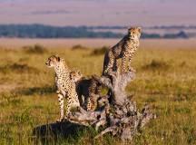 Kenya & Tanzania Adventure