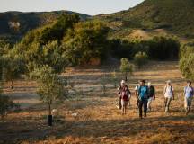 Walking in Andalucia