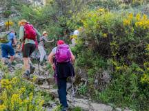 Walking in Andalucia