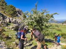 Walking in Andalucia