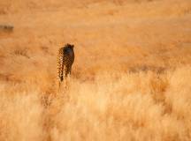 Discover Namibia – Lodges