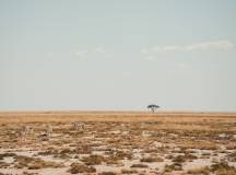 Discover Namibia – Lodges