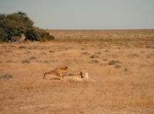 Discover Namibia – Camping