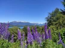Cycling the Lake District of Chile & Argentina
