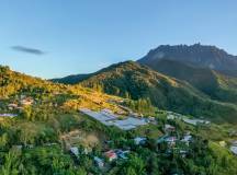 Borneo Family Wildlife Adventure